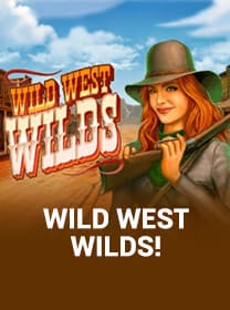 Panduan Lengkap Bermain Wild West Wilds di Android game cover